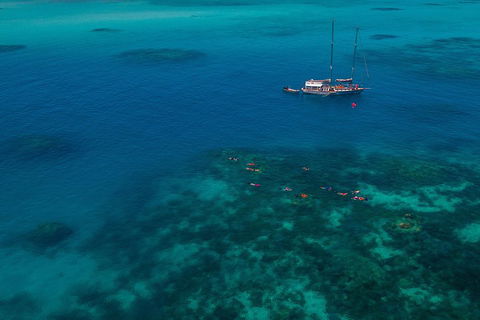 Ocean Free Green Island & Great Barrier Reef Snorkel Cruise, Cairns 25 Guests - Hotel Accommodation 5
