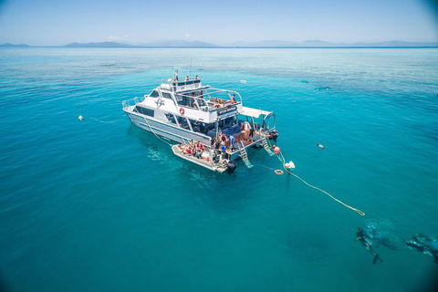 Ocean Freedom Great Barrier Reef Personal Luxury Snorkel & Dive Cruise, Cairns - Hotel Accommodation 0