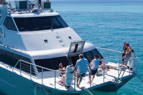 Ocean Freedom Great Barrier Reef Personal Luxury Snorkel & Dive Cruise, Cairns - Hotel Accommodation 1