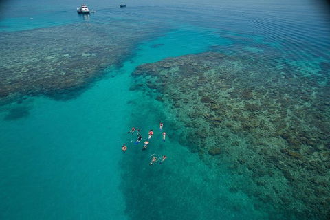 Ocean Freedom Great Barrier Reef Personal Luxury Snorkel & Dive Cruise, Cairns - Hotel Accommodation 3