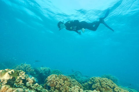 Ocean Freedom Great Barrier Reef Personal Luxury Snorkel & Dive Cruise, Cairns - Hotel Accommodation 5