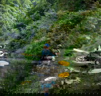 Byron Bay Rainforest Fishing - Hotel Accommodation