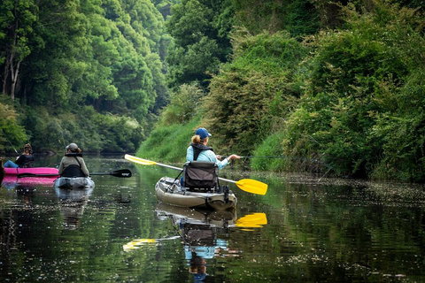 Byron Bay Rainforest Fishing - Hotel Accommodation 0