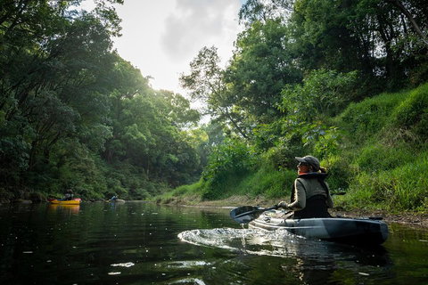 Byron Bay Rainforest Fishing - Hotel Accommodation 1