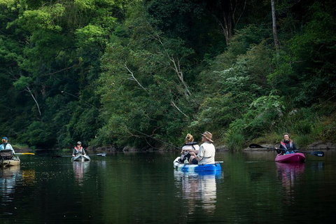 Byron Bay Rainforest Fishing - Hotel Accommodation 2