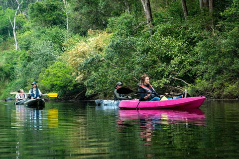 Byron Bay Rainforest Fishing - Hotel Accommodation 4