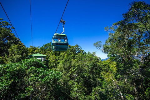 Classic Kuranda By Skyrail And Scenic Railway Including Rainforestation, Koala And Wildlife Park And Pamagirri Aboriginal Experi - Hotel Accommodation 0