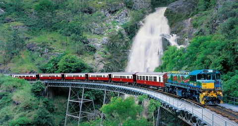 Classic Kuranda By Skyrail And Scenic Railway Including Rainforestation, Koala And Wildlife Park And Pamagirri Aboriginal Experi - Hotel Accommodation 1