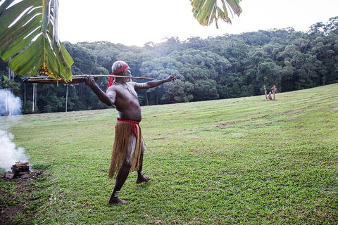 Classic Kuranda By Skyrail And Scenic Railway Including Rainforestation, Koala And Wildlife Park And Pamagirri Aboriginal Experi - Hotel Accommodation 5