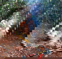 Kuranda Highlights including Rainforestation Aboriginal Culture and Wildlife - Hotel Accommodation