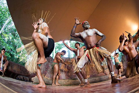 Kuranda Highlights Including Rainforestation Aboriginal Culture And Wildlife - Hotel Accommodation 1