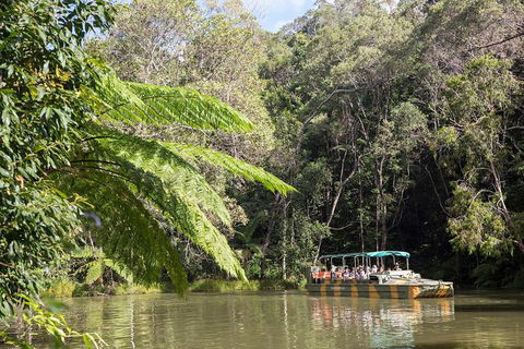 Best Of Kuranda Including Skyrail, Kuranda Scenic Railway And Rainforestation - Hotel Accommodation 5