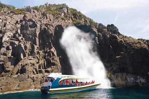 Full-Day Bruny Island Cruises Day Tour From Hobart - Hotel Accommodation 4