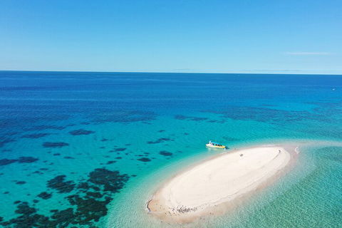 Ocean Safari Great Barrier Reef Experience In Cape Tribulation - Hotel Accommodation 0