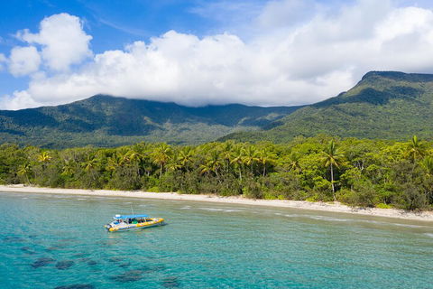 Ocean Safari Great Barrier Reef Experience In Cape Tribulation - Hotel Accommodation 2