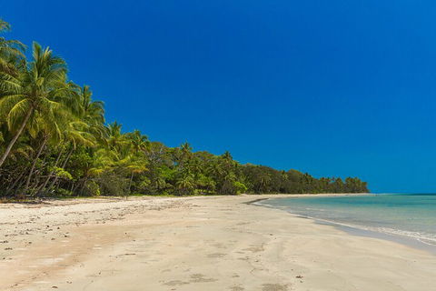 Ocean Safari Great Barrier Reef Experience In Cape Tribulation - Hotel Accommodation 4