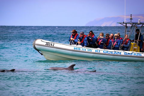 Kangaroo Island 75-Minute Ocean Safari - Hotel Accommodation 4