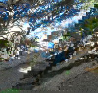 1/2 day Swan Valley Wine Cheese  Chocolate Tour Inc Afternoon Cruise to Perth - Hotel Accommodation