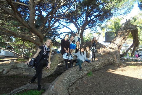 1/2 Day Swan Valley Wine Cheese & Chocolate Tour Inc Afternoon Cruise To Perth - Hotel Accommodation 0