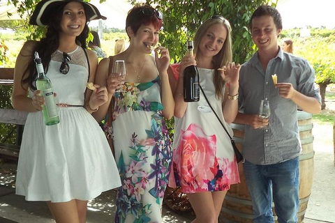 1/2 Day Swan Valley Wine Cheese & Chocolate Tour Inc Afternoon Cruise To Perth - Hotel Accommodation 4