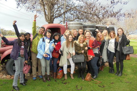 1/2 Day Swan Valley Wine Cheese & Chocolate Tour Inc Afternoon Cruise To Perth - Hotel Accommodation 5