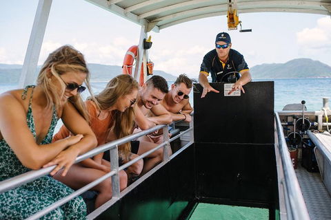 Fitzroy Island Day Trip From Cairns - Hotel Accommodation 4