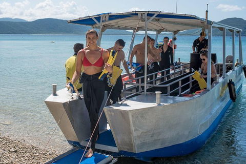 Fitzroy Island Day Trip From Cairns - Hotel Accommodation 5