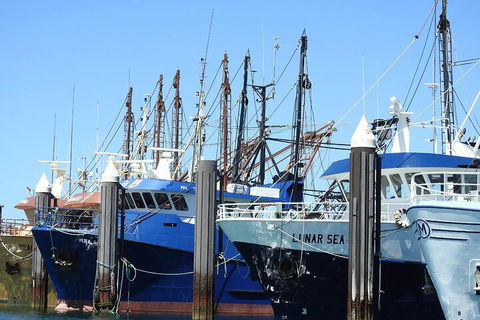 One Day Port Lincoln Tour - Tasting Eyre - Hotel Accommodation 0