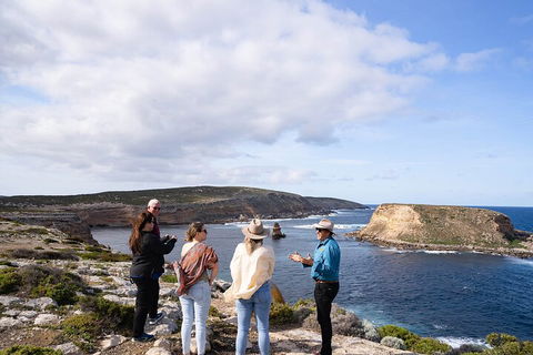 One Day Port Lincoln Tour - Tasting Eyre - Hotel Accommodation 4