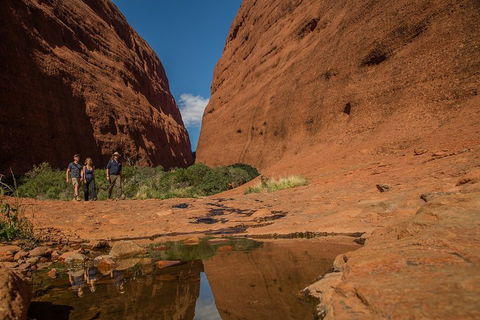 4 Day/3 Night Perentie Dreaming Safari - Hotel Accommodation 3