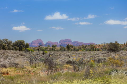 Overnight Uluru (Ayers Rock) Small-Group Camping Tour - Hotel Accommodation 0