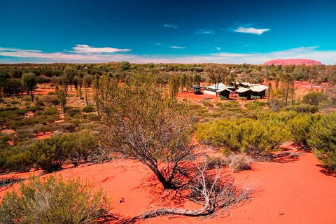 Overnight Uluru (Ayers Rock) Small-Group Camping Tour - Hotel Accommodation 2