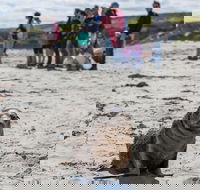 Kangaroo Island in a Day Tour from Adelaide - Hotel Accommodation