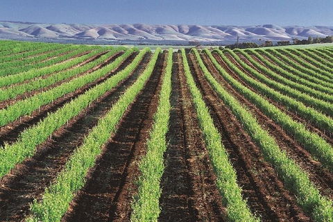 Small Group McLaren Vale And The Cube Experience - Hotel Accommodation 4