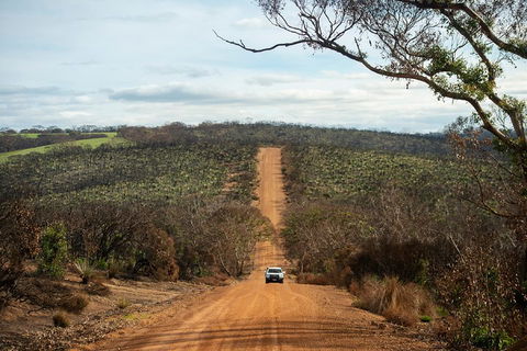 NEW TOUR - Kangaroo Island Road To Recovery Tour (1 Day/1 Night) - Hotel Accommodation 2