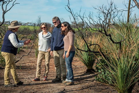 NEW TOUR - Kangaroo Island Road To Recovery Tour (1 Day/1 Night) - Hotel Accommodation 4