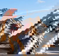 Full-Day Kangaroo Island Experience Departing from Kangaroo Island - Hotel Accommodation