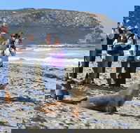 Full day Seal Bay Experience departing from Kangaroo Island - Hotel Accommodation