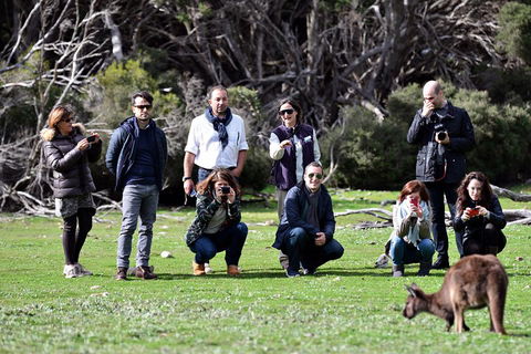 Small-Group Kangaroo Island 4WD Tour From Adelaide - Hotel Accommodation 2