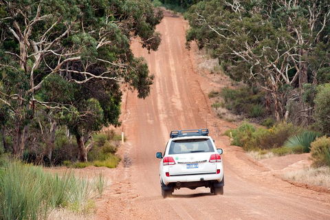 Small-Group Kangaroo Island 4WD Tour From Adelaide - Hotel Accommodation 3