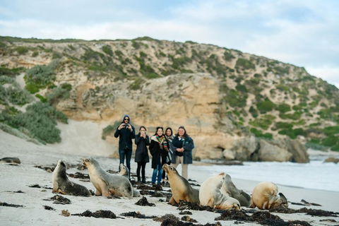 Small-Group Kangaroo Island 4WD Tour From Adelaide - Hotel Accommodation 4