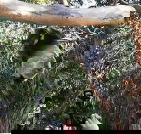 Small-Group Great Ocean Road Day Trip from Melbourne - Hotel Accommodation