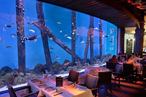 Cairns Aquarium And Small Group City Sightseeing Tour - Hotel Accommodation 4