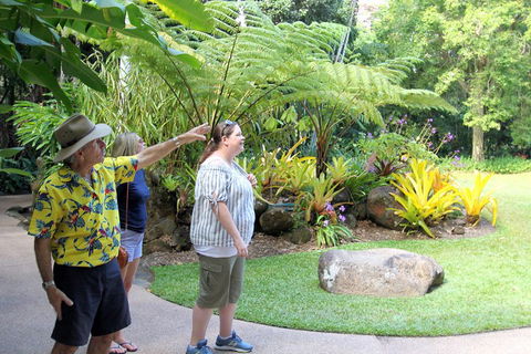 Cairns Shore Excursion: Cairns City Sights & Surrounds Tour - Hotel Accommodation 4
