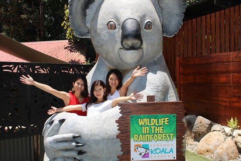 Kuranda Koala Gardens And Birdworld Admission Tickets - Hotel Accommodation 3