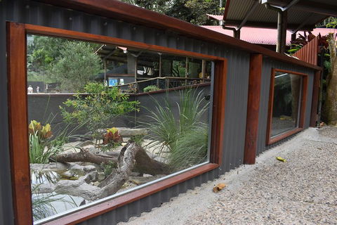 Kuranda Koala Gardens And Birdworld Admission Tickets - Hotel Accommodation 4