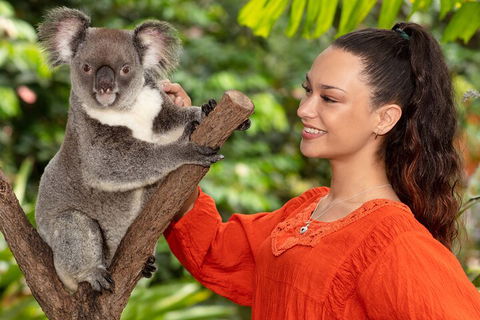 Kuranda Wildlife Experience Three Attraction Pass - Hotel Accommodation 4