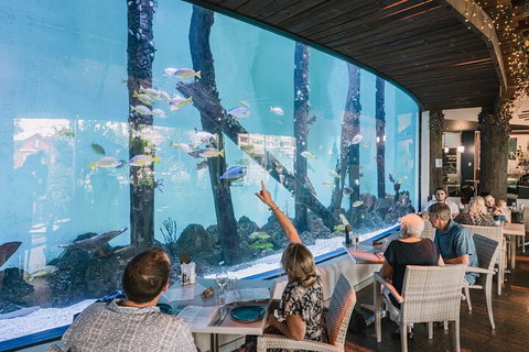 Cairns Aquarium By Twilight With 3-Course Dinner - Hotel Accommodation 4