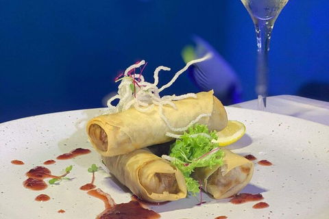 Cairns Aquarium Marine Life Encounter Ticket With 2-Course Lunch - Hotel Accommodation 1