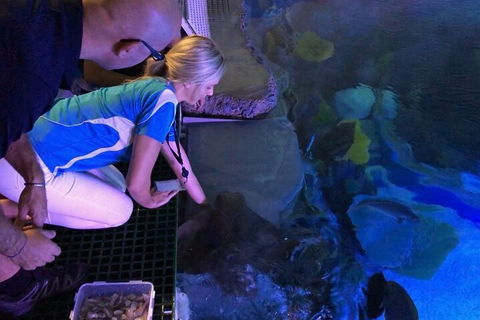 Cairns Aquarium Marine Life Encounter Ticket With 2-Course Lunch - Hotel Accommodation 2